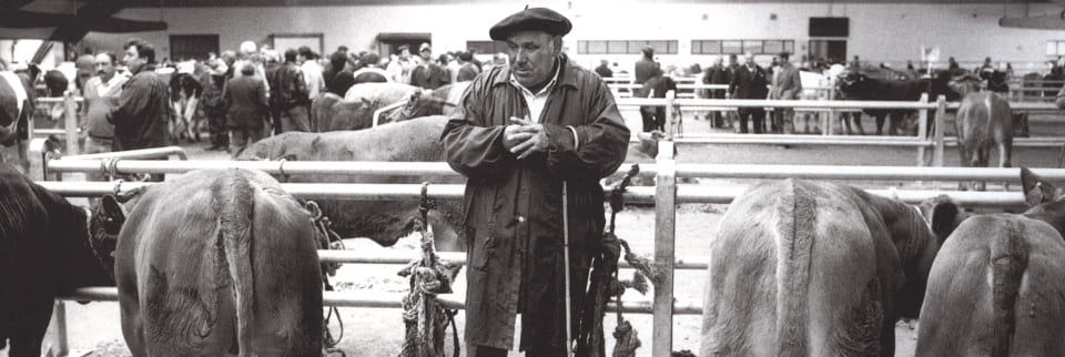 Adolfo Lago en el mercado de Santiago, 1998